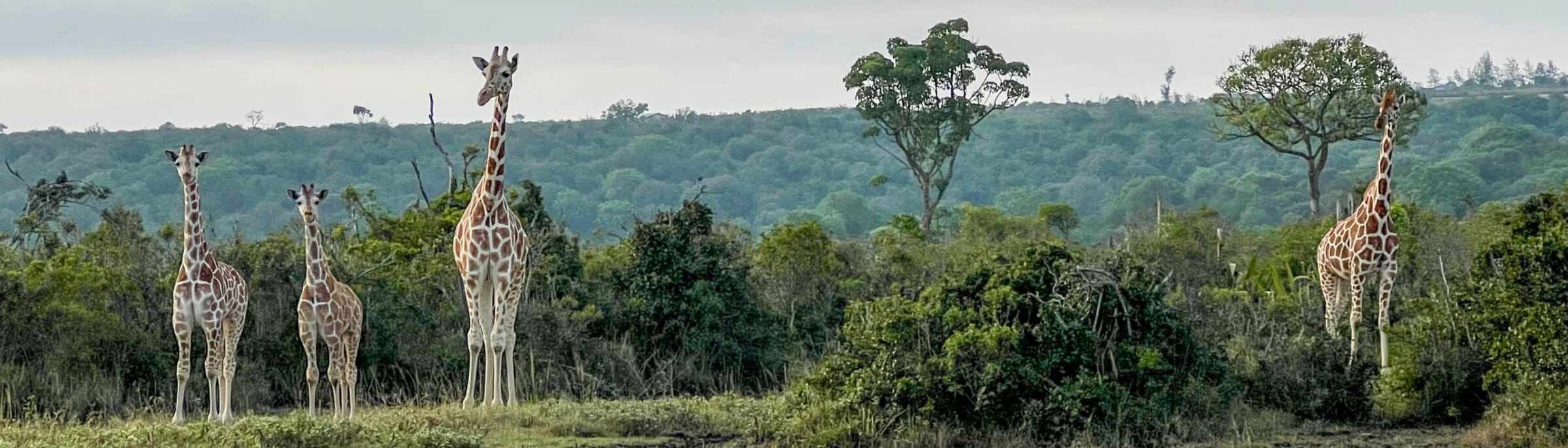 Creating team unity, alignment, and vision | Territory